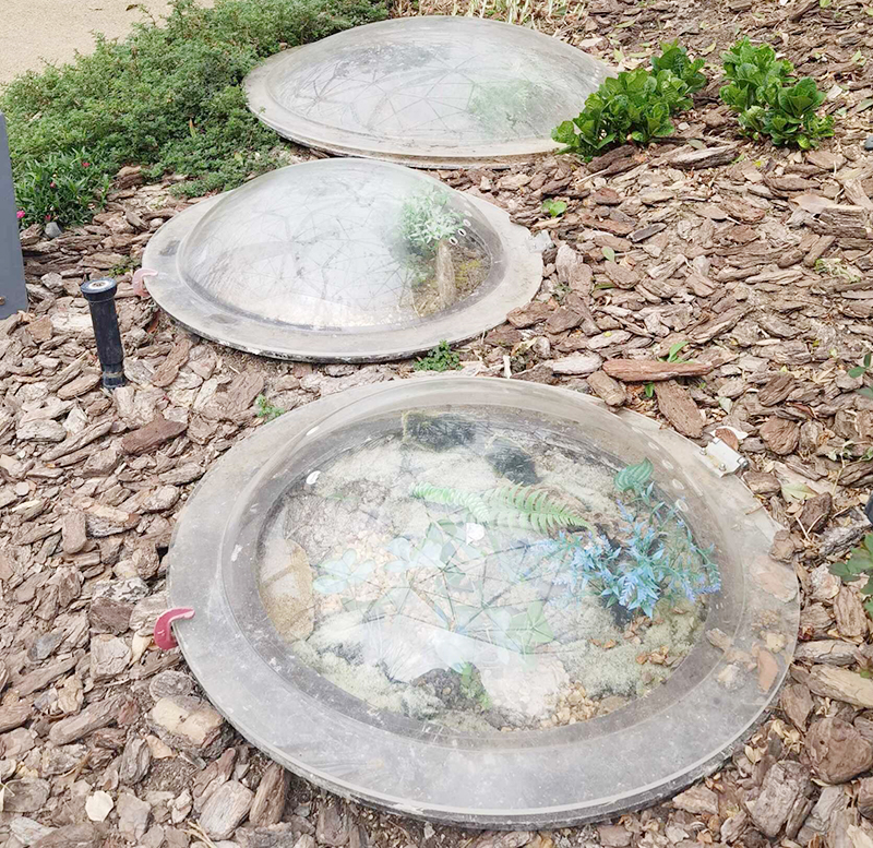 公園植物用有機(jī)玻璃制品保護(hù)防風(fēng)罩